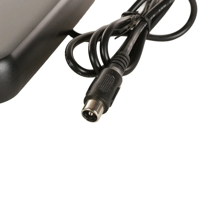 Green Line 42V 2A Premium Charger - RCA Cinch Plug