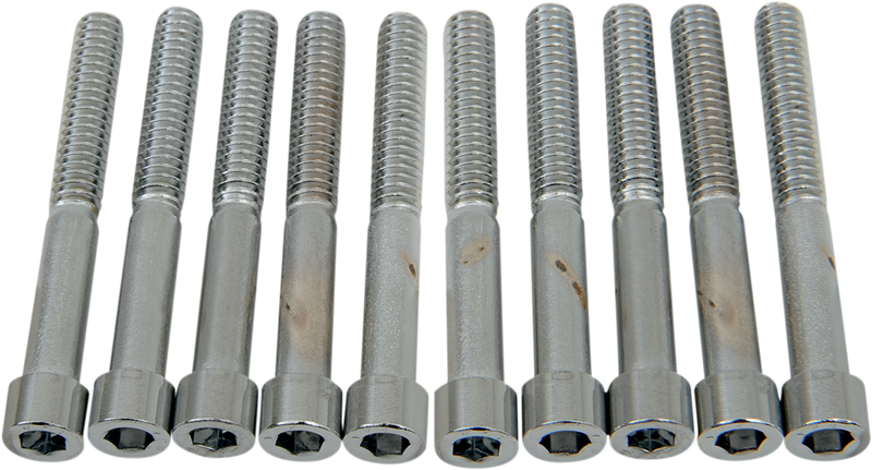 DRAG SPECIALTIES MPB185S Coarse-Thread Socket-Head Bolts, 1/4-20 x 2 inches
