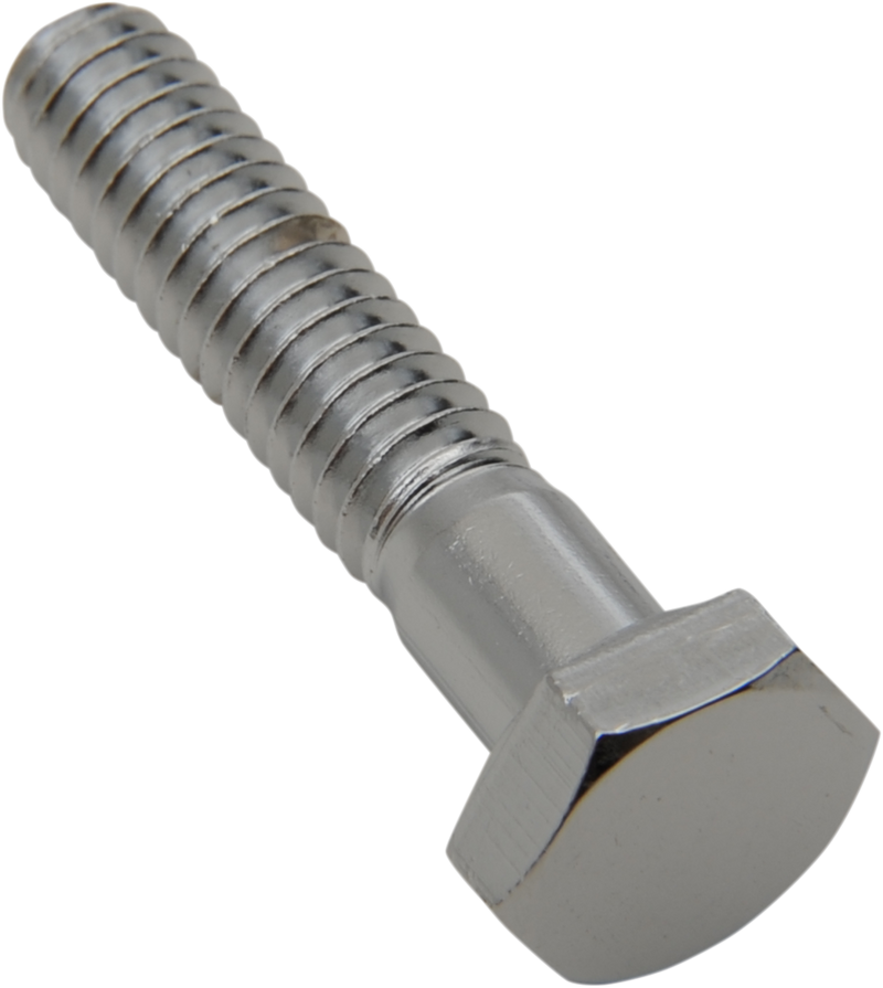DRAG SPECIALTIES Chrome Hex-Head Bolts - 1/4"-20 x 1" MPB116 Replacement Pack