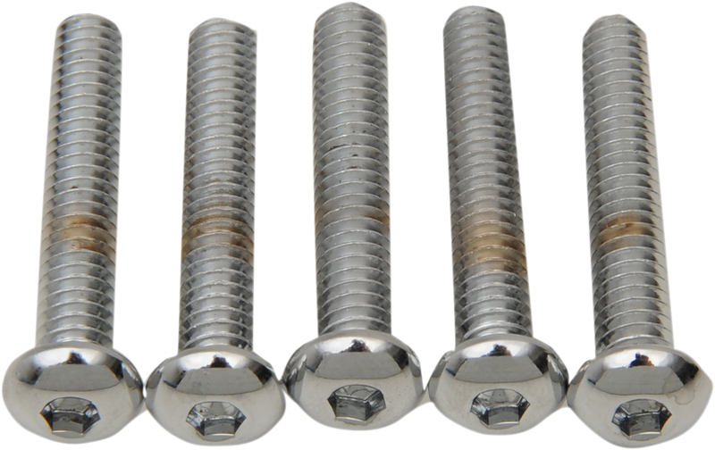 Drag Specialties MPB824 Button Head Bolts Replacement Kit - 1/4"-20 x 2" - Pack of 5