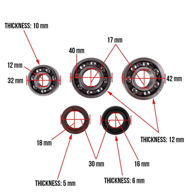 Engine Case Oil Seal And Bearing Kit; CSC go., 139QMB Scooters