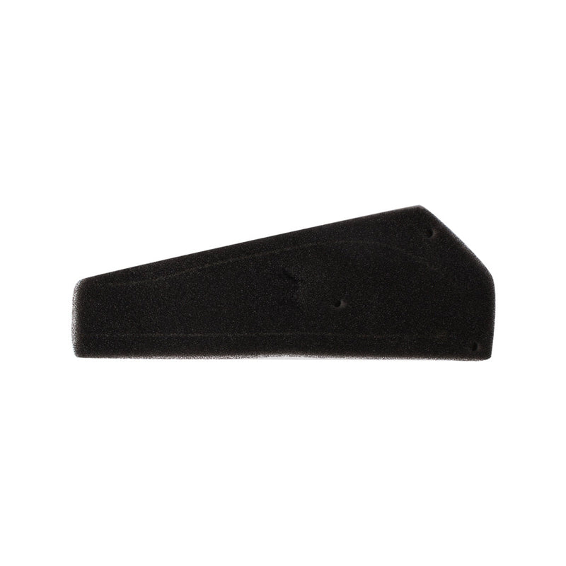 Air Filter Element; CSC go., 139QMB Scooters