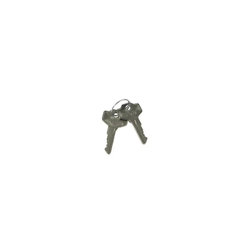 Engine Side Door Panel (chrome with lock); Small Frame Vespa