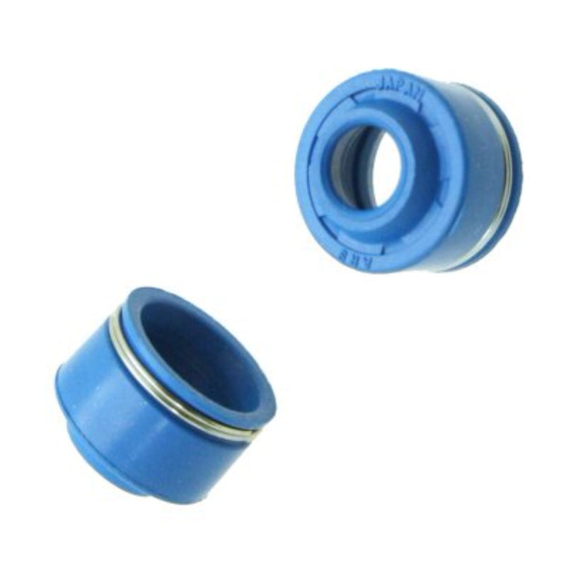 SSP-G Viton Valve Seals