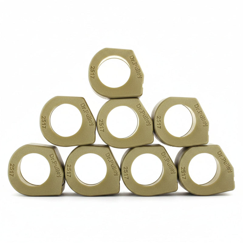 Dr. Pulley 25x17 Sliding Roller Weights