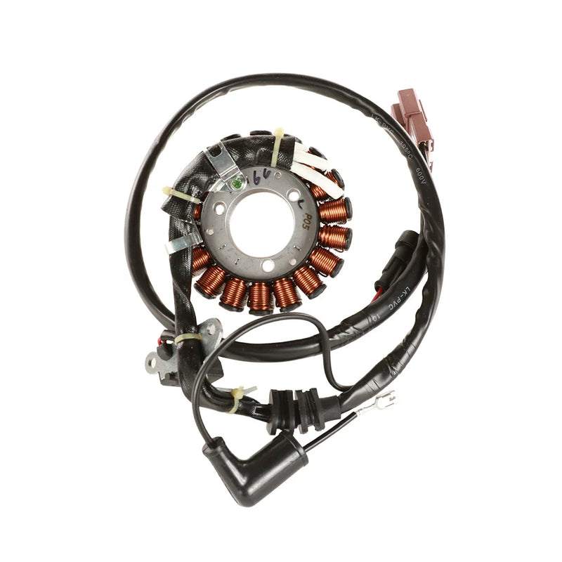 Stator Assembly - Vespa GTS 250/300