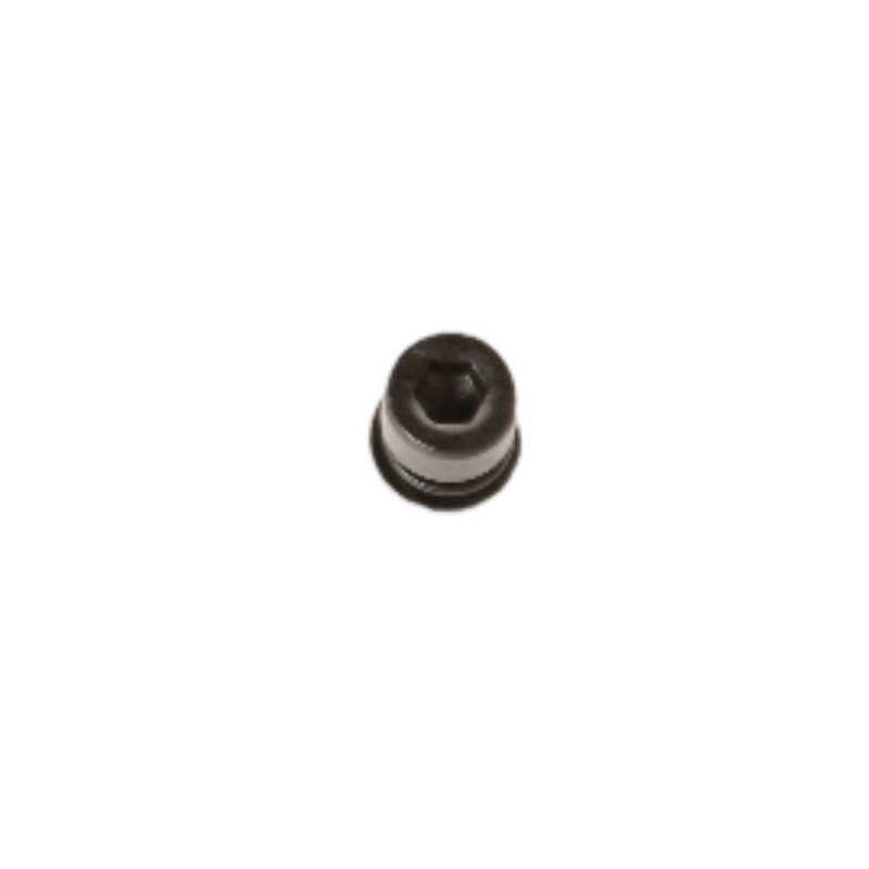 NIU Hexagon Socket Head Screw w/ lock washer (M5x16); NIU KQ
