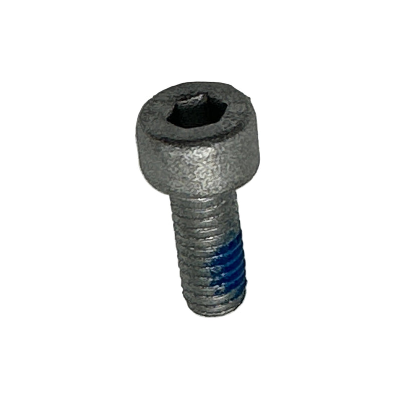 NIU OEM Hex Socket Cap Screw M4x10