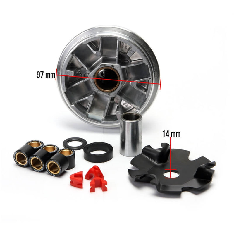 Malossi Multivar Performance Variator - Honda Ruckus