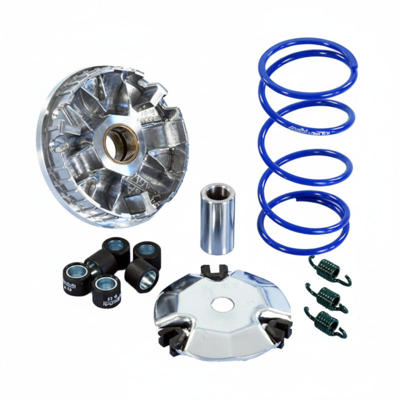 Polini Performance Variator Kit - Yamaha C3/Zuma 50F